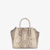 Voguecache.shop4db2488f16 1